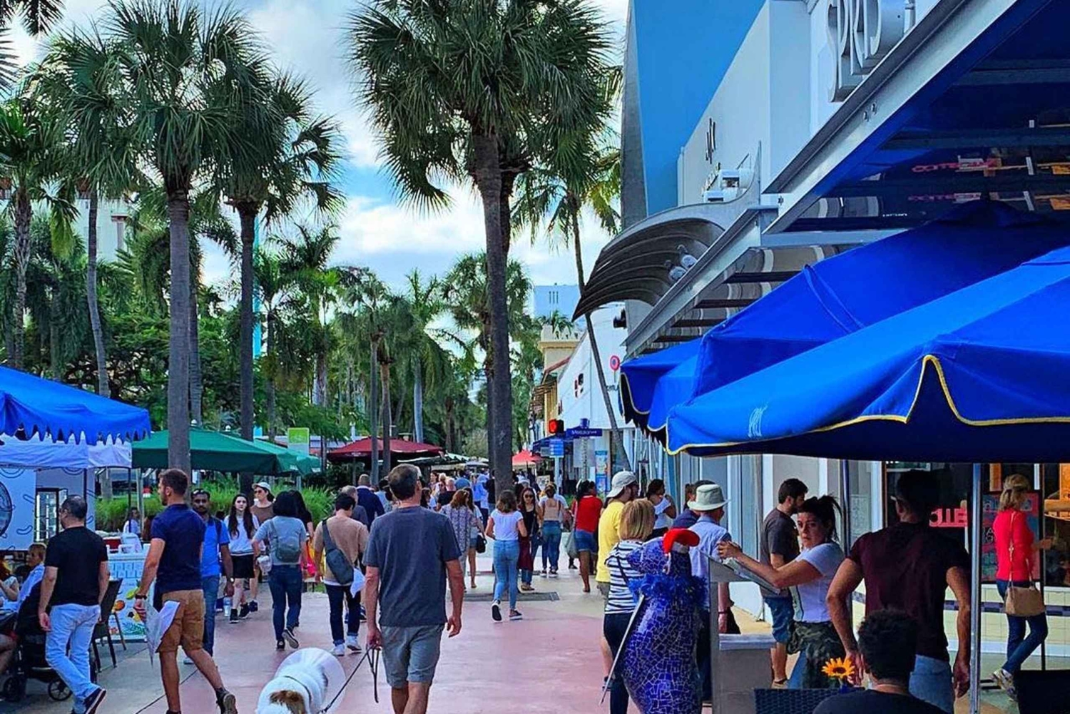 Recorrido por los 10 lugares más destacados de South Beach: Lincoln Road y Española