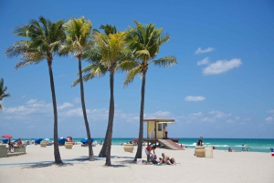 Recorrido por los 10 lugares más destacados de South Beach: Lincoln Road y Española