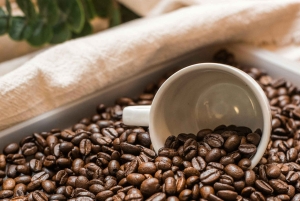 Recorrido por los 10 lugares más destacados de South Beach: Lincoln Road y Española