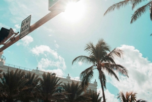 Recorrido por los 10 lugares más destacados de South Beach: Lincoln Road y Española
