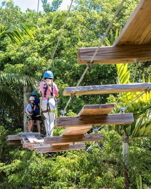 Treetop Trekking Park Miami