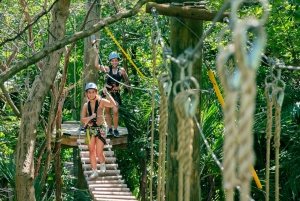Treetop Trekking Park Miami
