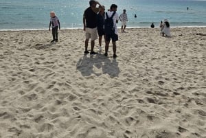 Miami: Ultimative Sightseeing-Kombitour mit Bus und Boot