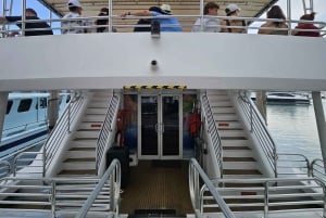 Miami: Ultimative Sightseeing-Kombitour mit Bus und Boot