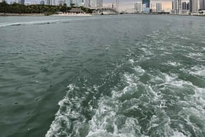 Miami: Ultimative Sightseeing-Kombitour mit Bus und Boot