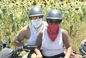 Vice Atv Riding i Bayside