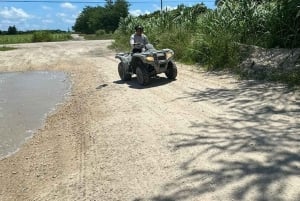 Vice Atv Paardrijden van North Beach