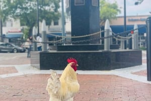 VIP Walking Tour of Little Havana