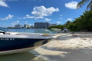 Miami: Private City Cruise of Miami Beach with French Guide