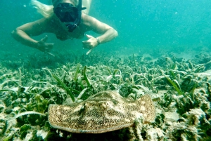 West Palm Beach: Tour di Jet Snorkeling per principianti con video