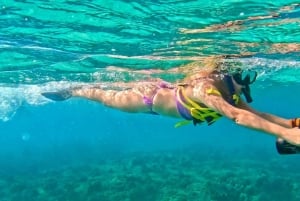 West Palm Beach: Beginner Jet Snorkel Tour with Videos