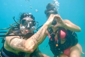 West Palm Beach: Beginner Scuba Diving with Videos