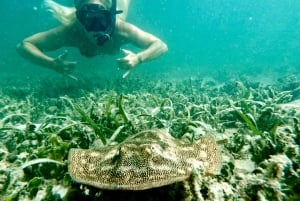 West Palm Beach: Immersione subacquea per principianti con Go Pro