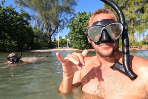 West Palm Beach: Excursão de Snorkel para principiantes com tartarugas e vídeos