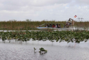 Wildlife Show & Everglades Motorboat Ride with Hotel Pickup