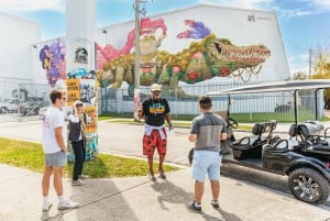 Wynwood Art District 1-Hour Street Art Tour by Golf Buggy