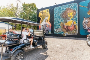 Excursão de arte de rua de 1 hora no Wynwood Art District em carrinho de golfe