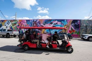 Wynwood Art District 1-times Wynwood Buggies Street Art Tour