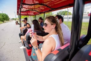 Wynwood Art District 1-times Wynwood Buggies Street Art Tour
