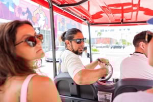 Wynwood Art District 1-times Wynwood Buggies Street Art Tour