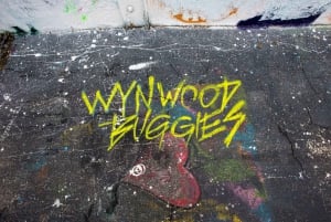 Wynwood Art District 1-times Wynwood Buggies Street Art Tour