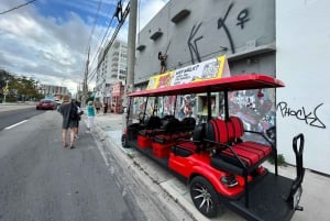 Wynwood Art District 1-times Wynwood Buggies Street Art Tour