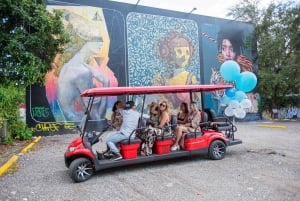 Wynwood Art District 1-times Wynwood Buggies Street Art Tour
