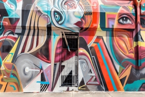 Visita y taller de graffiti en Wynwood