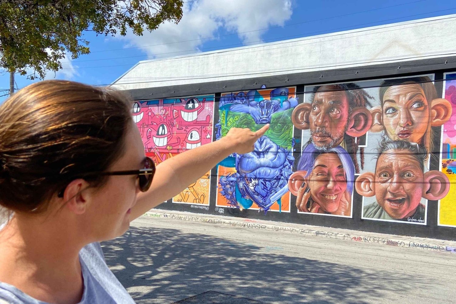 Wynwood walking tour in French (2h)