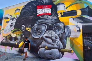 Wynwood walking tour in French (2h)