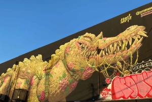 Tour a pie por Wynwood en francés (2h)