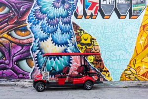 Miami: Wynwood Walls Entry and Neighborhood Buggy Experience