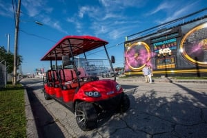 Miami: Wynwood Walls Entry and Neighborhood Buggy Experience