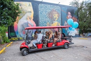 Miami: Wynwood Walls Entry and Neighborhood Buggy Experience