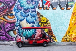 Miami: Wynwood Walls Entry and Neighborhood Buggy Experience