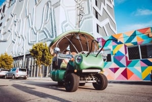 Miami: Passeio de 30 minutos de Lady Buggies em Wynwood Walls