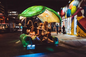 Miami: Wynwood Walls 30 Minuten Lady Buggies Tour