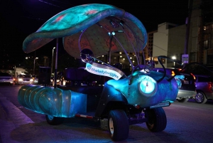 Miami: Wynwood Walls Tour di 30 minuti con le Lady Buggies