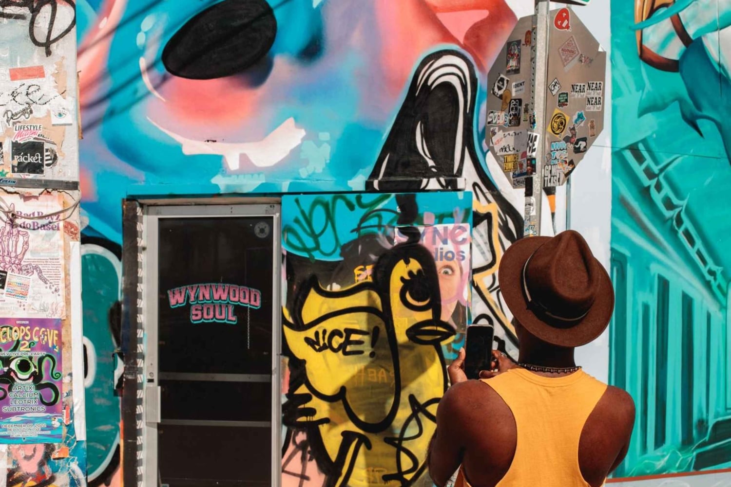 Visita guiada a pie por el barrio y el arte callejero de Wynwood Walls