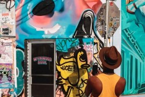 Visita guiada a pie por el barrio y el arte callejero de Wynwood Walls