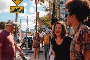 Visita guiada a pie por el barrio y el arte callejero de Wynwood Walls