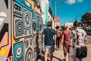 Visita guiada a pie por el barrio y el arte callejero de Wynwood Walls