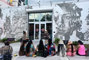 Visita guiada a pie por el barrio y el arte callejero de Wynwood Walls