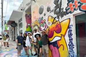 Visita guiada a pie por el barrio y el arte callejero de Wynwood Walls