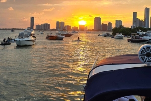 Crucero en yate por la Bahía de Biscayne, Miami Beach y Sand bar. 42 pies