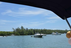 Crucero en yate por la Bahía de Biscayne, Miami Beach y Sand bar. 42 pies