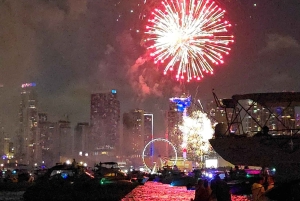 Crucero en yate por la Bahía de Biscayne, Miami Beach y Sand bar. 42 pies