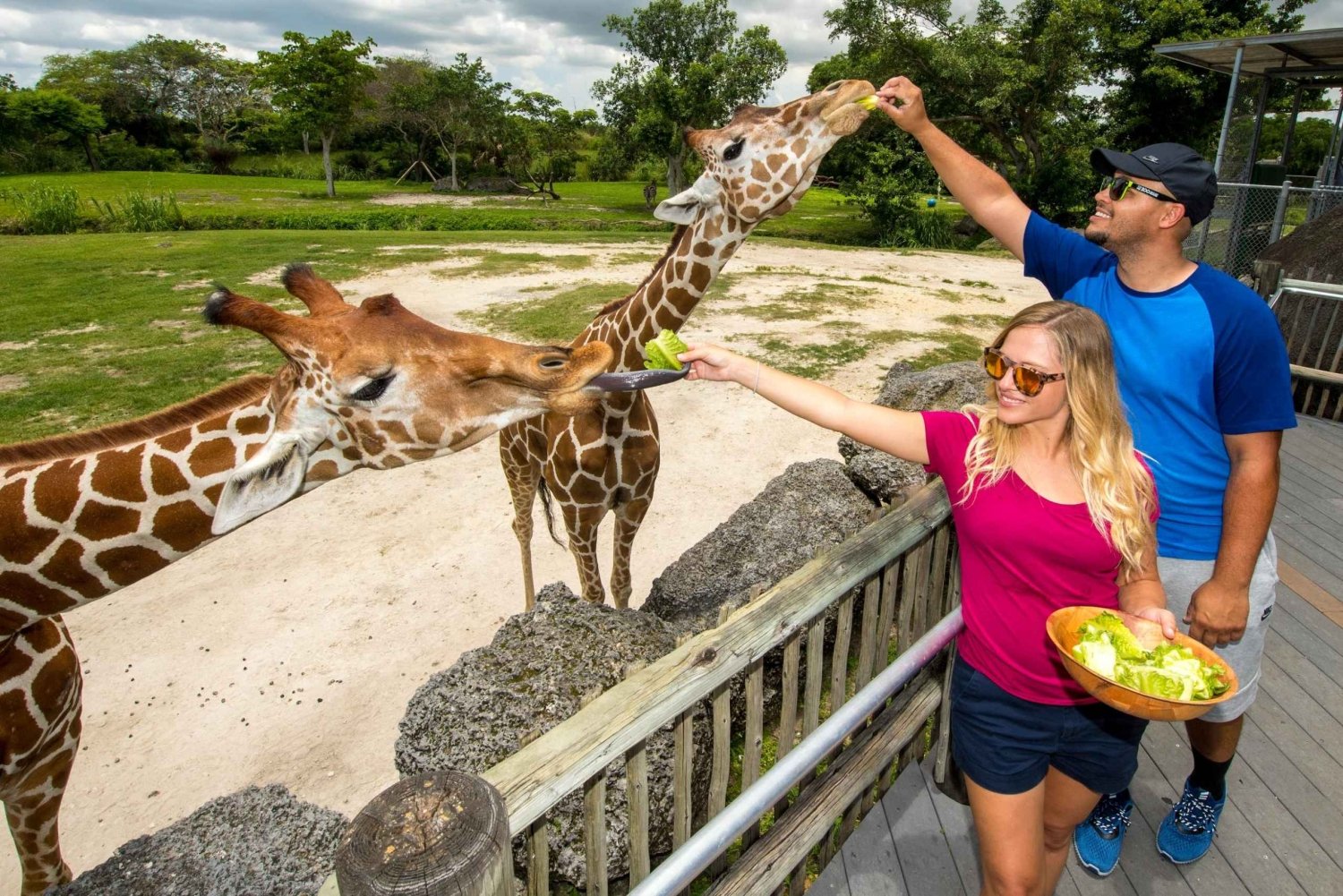 Zoo Miami: Ogólny bilet wstępu