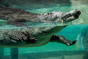 Zoo Miami: General Admission Ticket