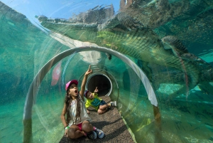 Zoo Miami: Allmän entrébiljett